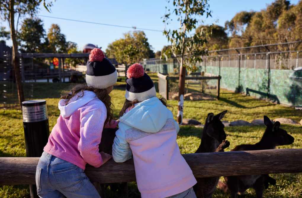 Diamond Tours is a family-owned business providing small group personalised Blue Mountains Tour offering a local experience away from the groups. Tour inclusions are Scenic World Rides, breath-taking lookouts with amazing views and photo opportunities of the Blue Mountains, lunch in a quaint village in the Blue Mountains, Sydney Zoo entry and ferry return to Circular Quay where tour concludes. Children enjoying the animal experiences at Sydney Zoo. Copyright status: Destination NSW Copyright